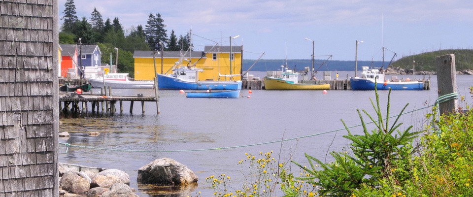 Sample - Placeholder #7 for Arts [Cinematography] - Cape Breton County, Nova Scotia