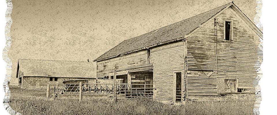 Sample - Placeholder #10 for Arts [Digital] - Colchester County, Nova Scotia