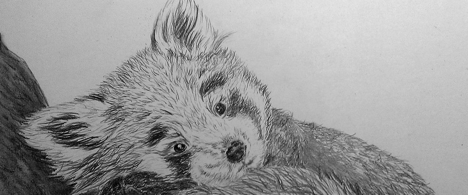 Sample - Placeholder #10 for Arts [Drawing] - Digby County, Nova Scotia